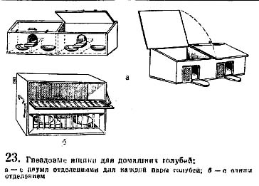 Гнездовые ящики для домашних голубей